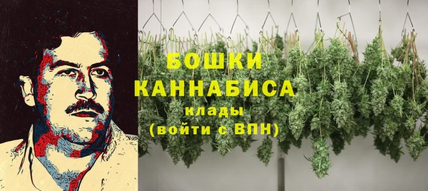 PSILOCYBIN Балахна
