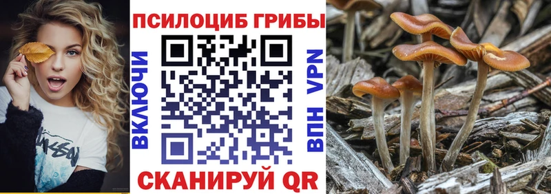 Галлюциногенные грибы ЛСД  ссылка на мегу маркетплейс  Игарка 